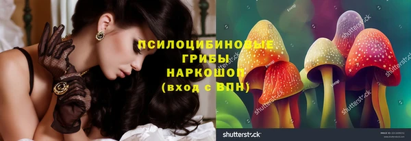 дживик Балахна
