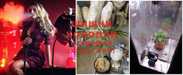 молекула духа Балабаново