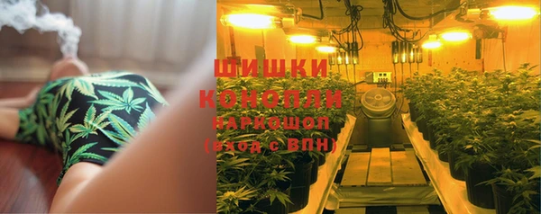 эйфоретик Баксан