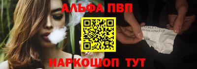 бошки Кингисепп