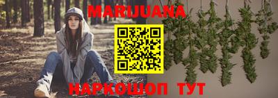 бошки Кингисепп