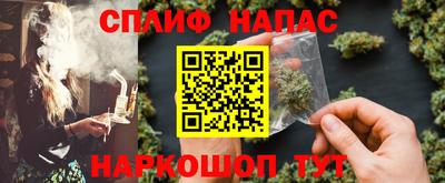 бошки Кингисепп