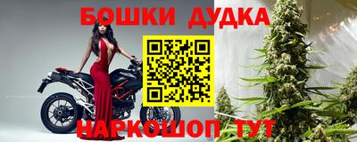 бошки Кингисепп