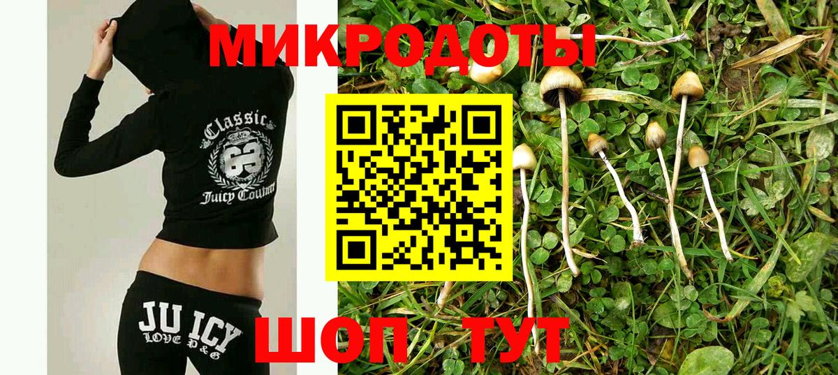Галлюциногенные грибы мицелий Коммунар